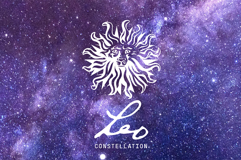 PUBLICIS GROUPE MERGES TWO CREATIVE NETWORKS TO CREATE ONE NAMED "LEO"