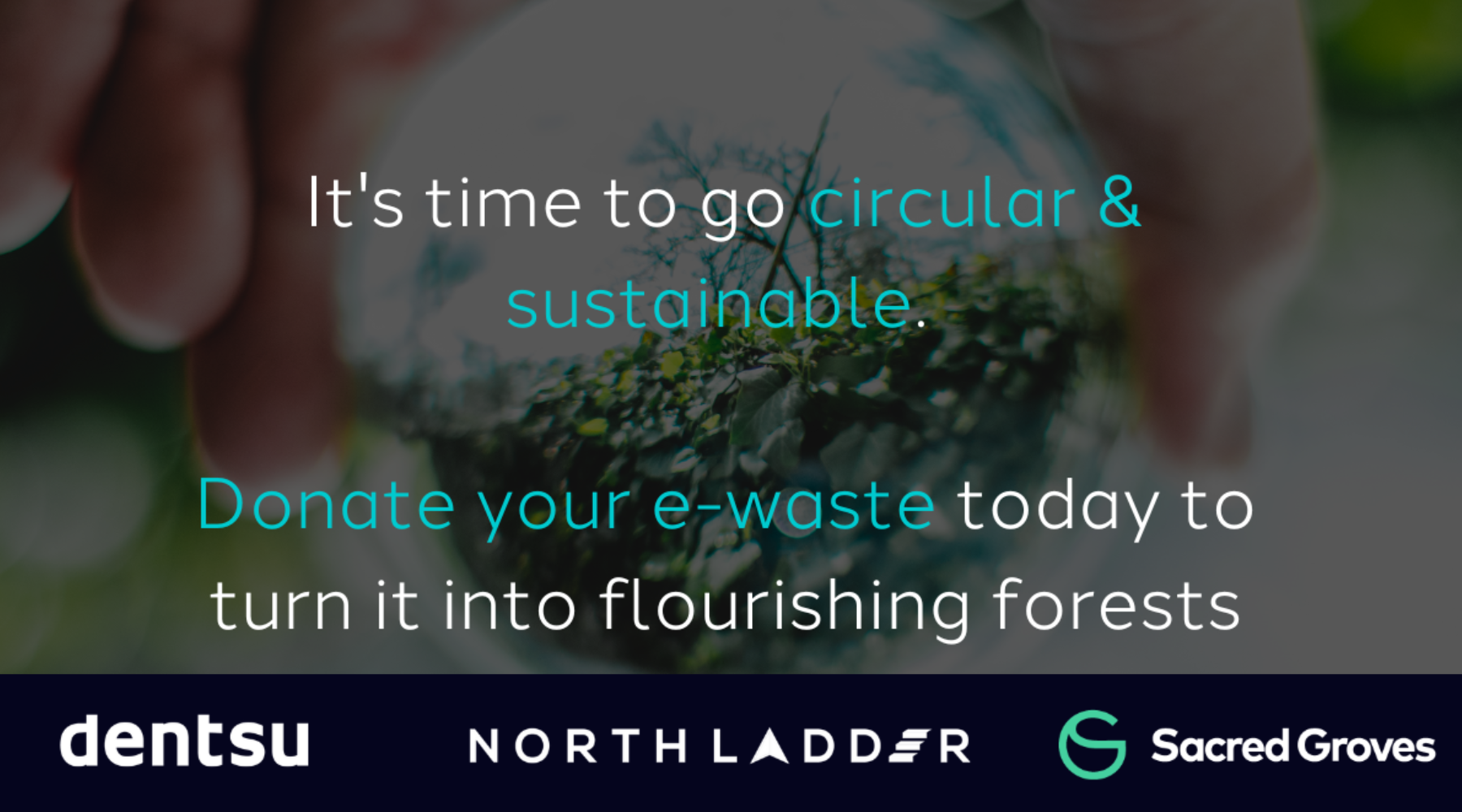 Dentsu MENA Partners with Sacred Groves to Turn E-waste into Flourishing Forests