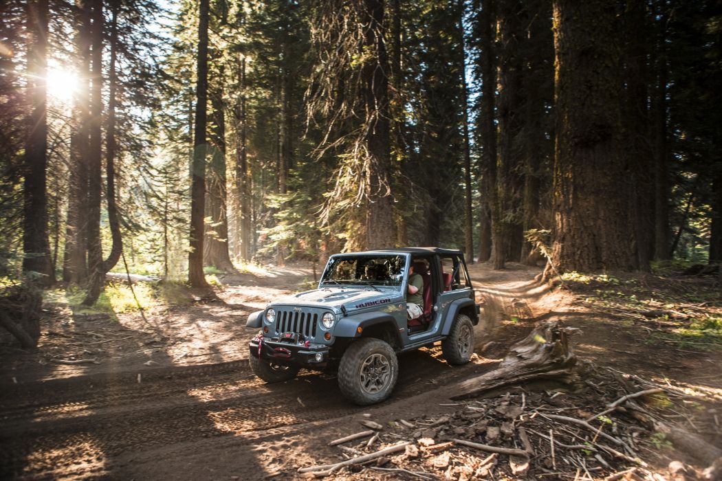 Jeep's "Nature is in our Nature" Campaign Transports its Drivers into the Wild