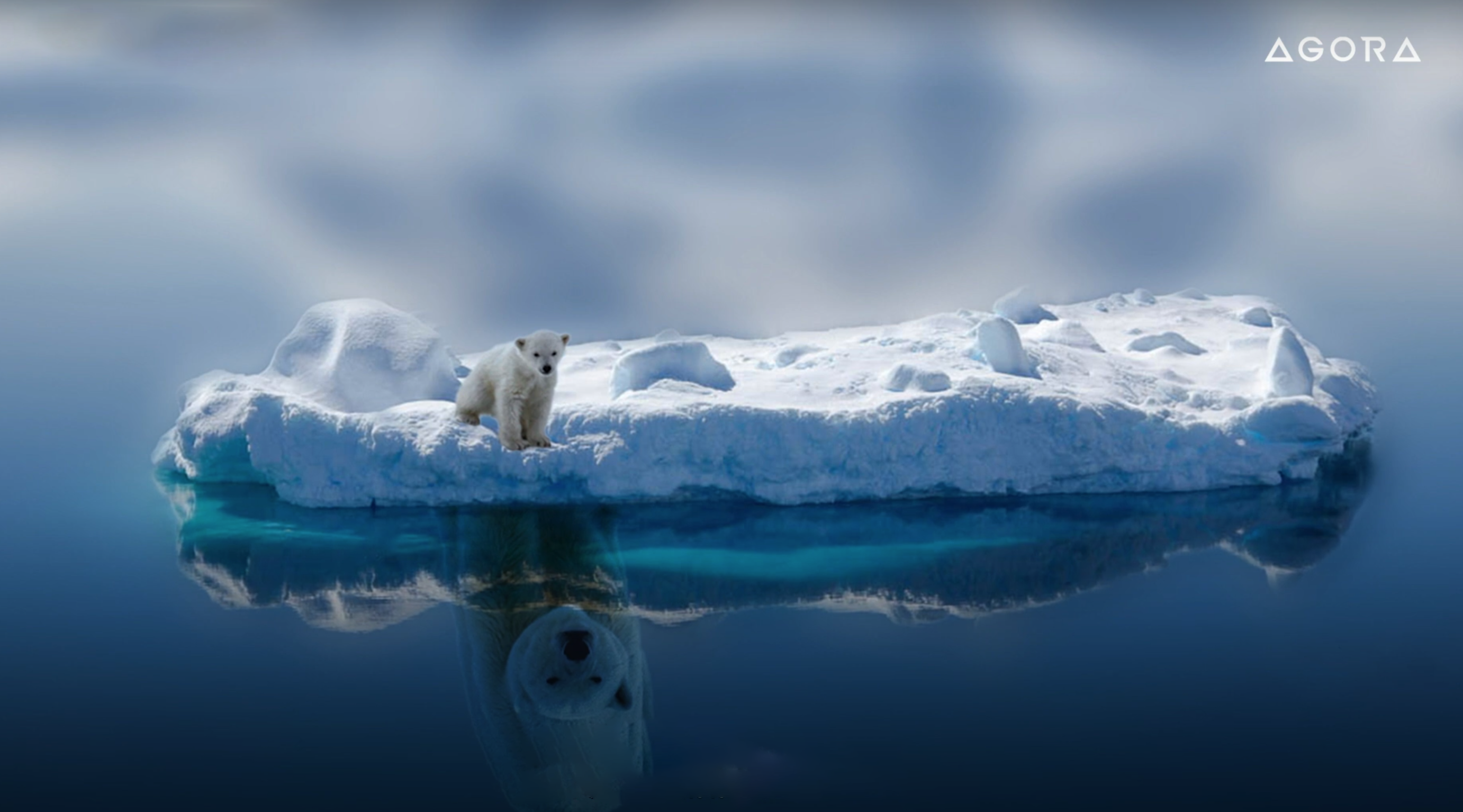 Agora Images: Global Warming Through the Eyes of Paal Uglefisk