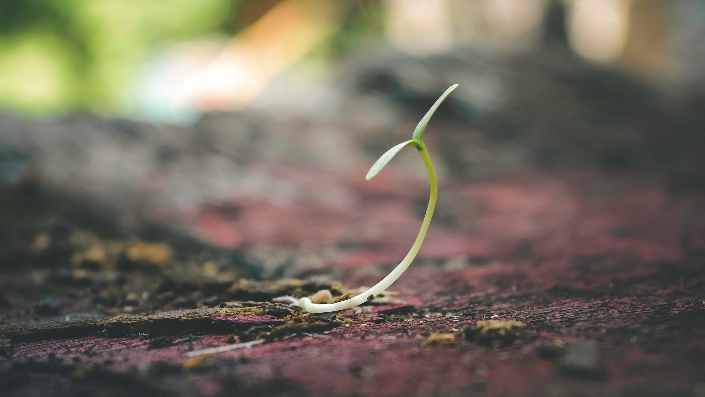 What Can Brands and Retailers do to Incentivize the Move to Carbon Neutral? 2 9ZnbfNhybWkNwM8bbHCkEZkLcQVSNQ2urce7ZABF