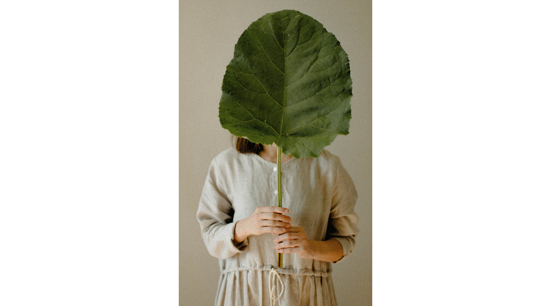 What Can Brands and Retailers do to Incentivize the Move to Carbon Neutral? 1 KaOe7C50PTLlLVWsouhUrP1N4PB7V5iVUz1fHyeT