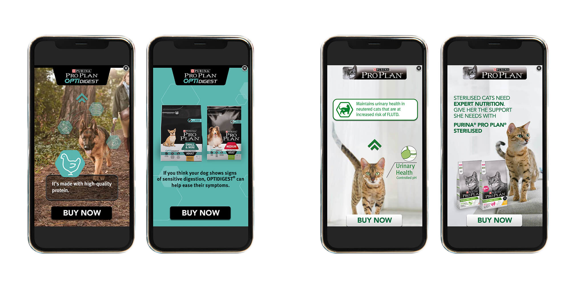 The Right Message, for the Right Audience, at the Right Time and in the Right Place 2 MuapavWum51f0G29zhHMTCfqa7BkUCwpNtgaWvqM